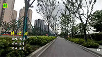 精灵翻唱《伤心泪》旋律伤感 歌词深情感人